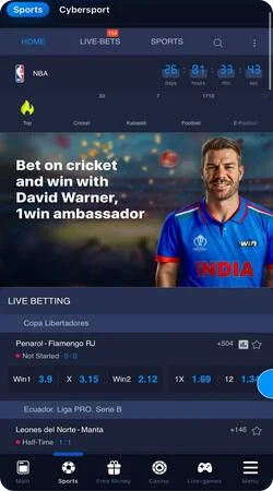 1Win cricket betting app